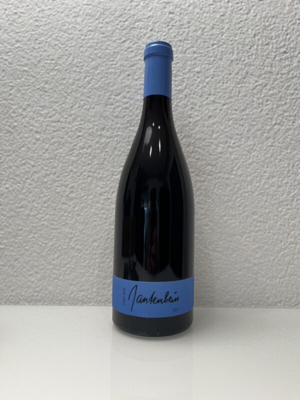 Weingut Daniel & Marta Gantenbein - Pinot Noir 2017, 75cl