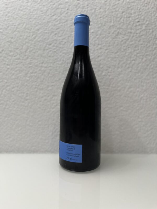 Weingut Daniel & Marta Gantenbein - Pinot Noir 2022, 75cl – Bild 2